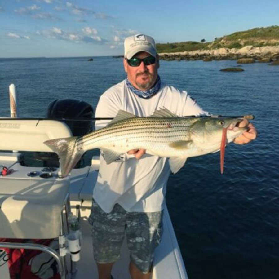 A person holds a large striped bass on a boat in calm waters.