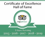 TripAdvisor Hall of Fame logo